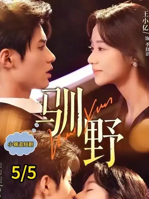 春江月明热播电视剧全集在线观看